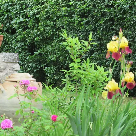 Bed & Breakfast D'hotes Le Paradis
